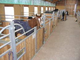 Firma Sulzberger Pferdeboxen Pferdeställe (Pferdebox Modell Arizona)