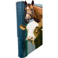 334045 Kratzmatte 150 cm x 50 cm